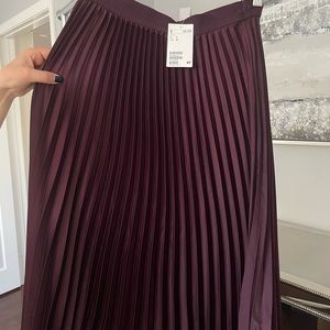 H&M Pleaded Skirt